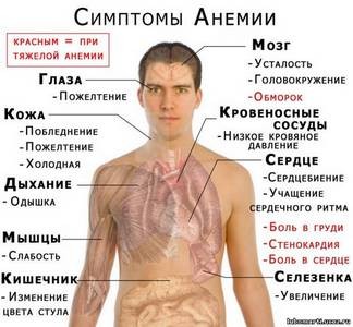 симптомы и лечение анемии