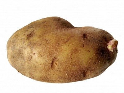 картофель польза и вред для здоровья