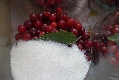 рецепт компота из вишни на зиму на литровую банку