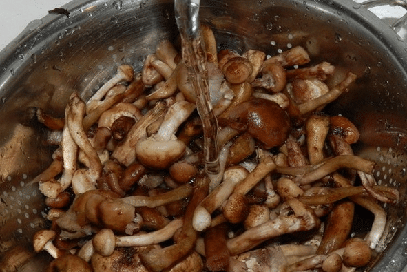 Промыть грибы